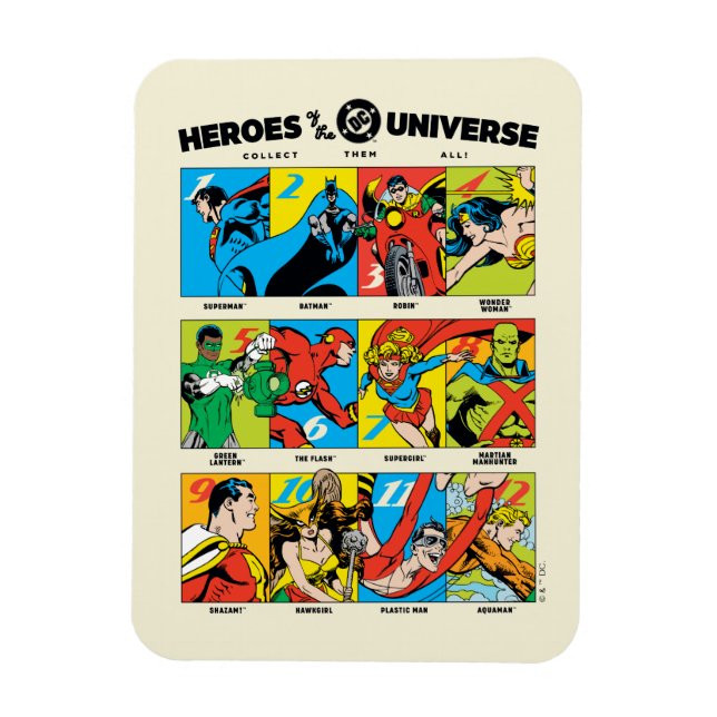 Ímã Heróis do Universo DC™ (Vertical)