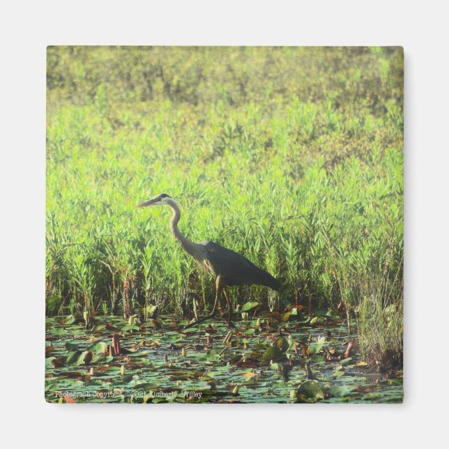 Imã Heron 6449 (Frente)