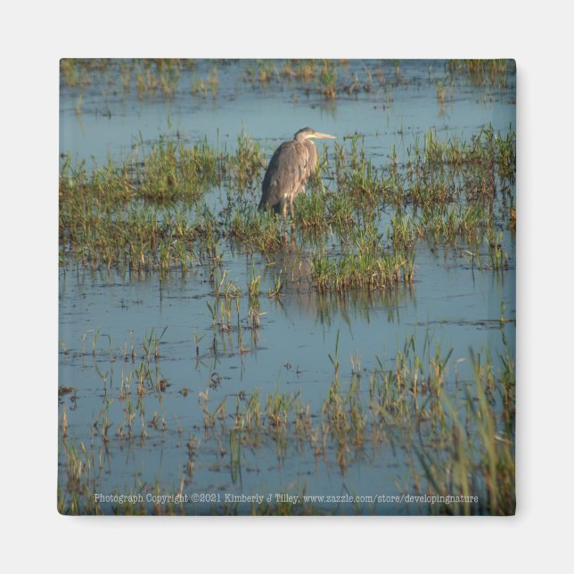 Imã Heron 6937 (Frente)