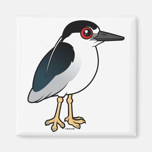 Imã Heron Noturno de coroação negra (Frente)