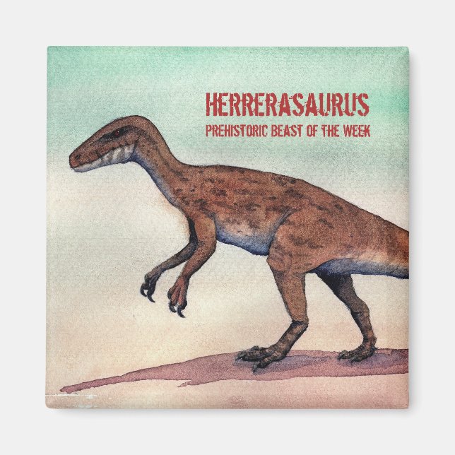 Imã Herrerasaurus Magnet (Frente)