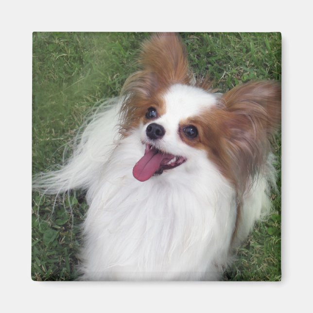 Imã Hershey Kiss Hero Kennel Merchandise (Frente)