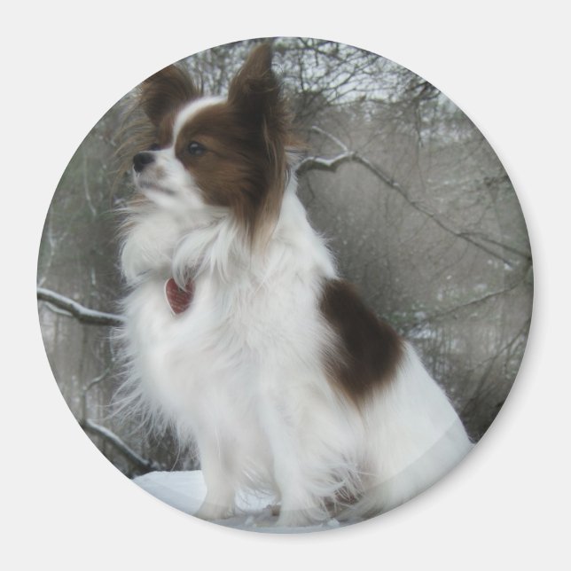 Imã Hershey Kiss Hero Kennel Merchandise (Frente)