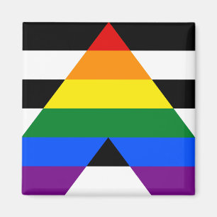 Imã Hetero Ally Pride