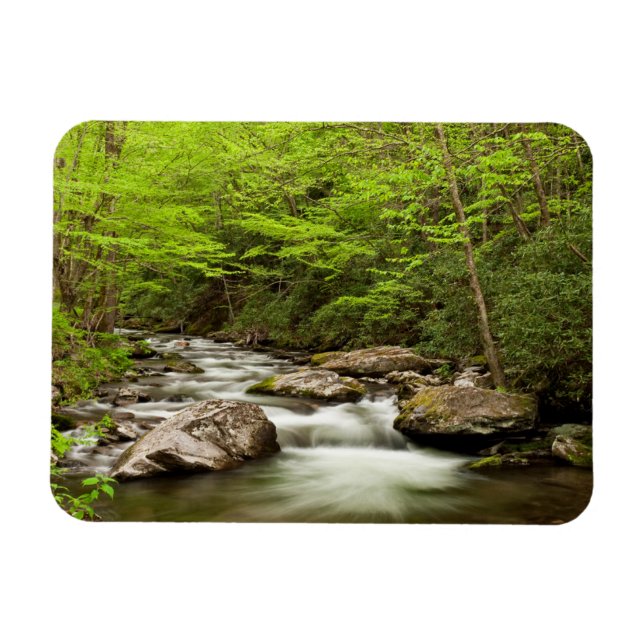 Ímã Hetero Forrapk flui através da floresta (Horizontal)