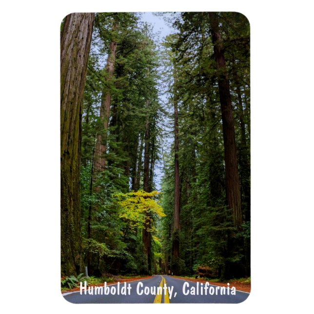 Ímã Hetero Road Next Through Misty Redwood Forest M (Vertical)