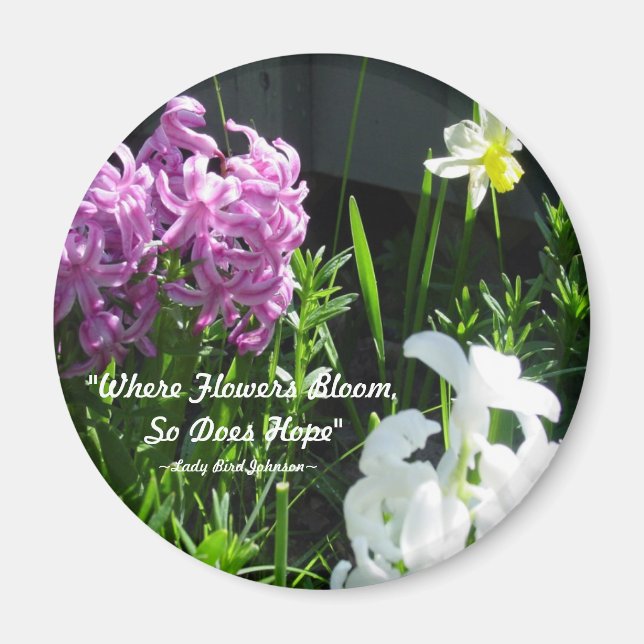 Imã Hiacintos e Daffodil (Frente)
