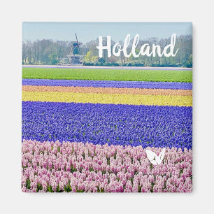 Imã Hiacintos na Holanda - ímã de Velvet Escape