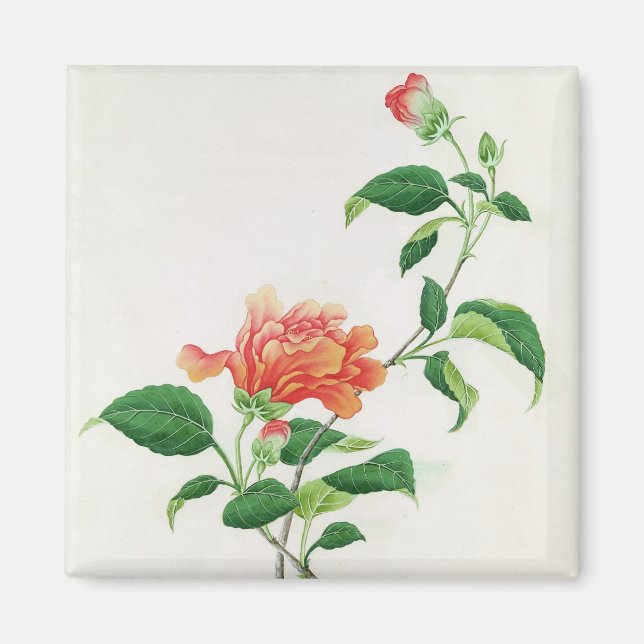 Imã Hibiscus (Frente)