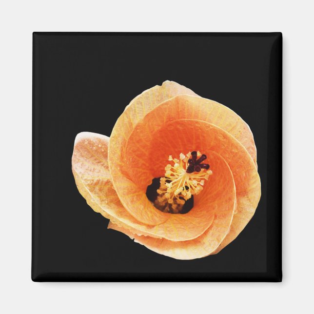 Imã Hibiscus (Frente)