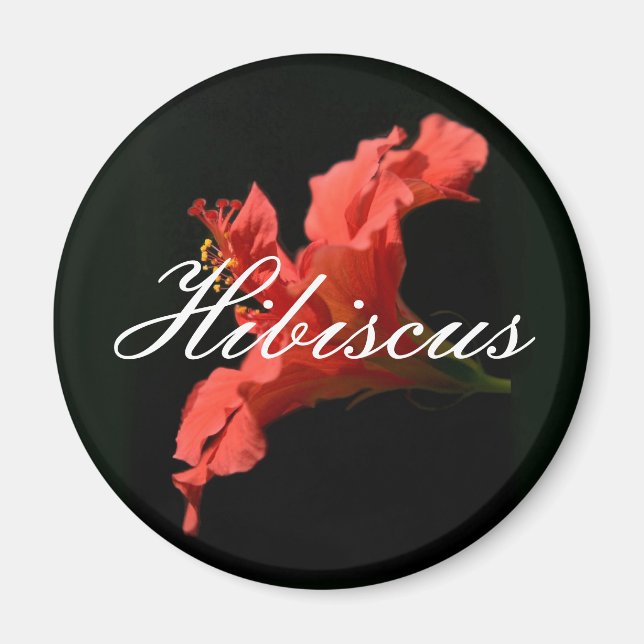 Imã Hibiscus (Frente)