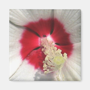 Imã Hibiscus - ímã