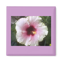 Hibiscus Magnet
