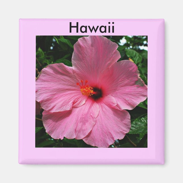 Imã Hibiscus Magnet, rosa-do-Havaí (Frente)