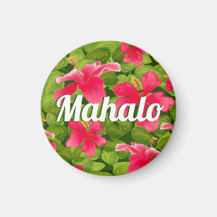 Imã Hibiscus Mahalo, rosa-havaiano