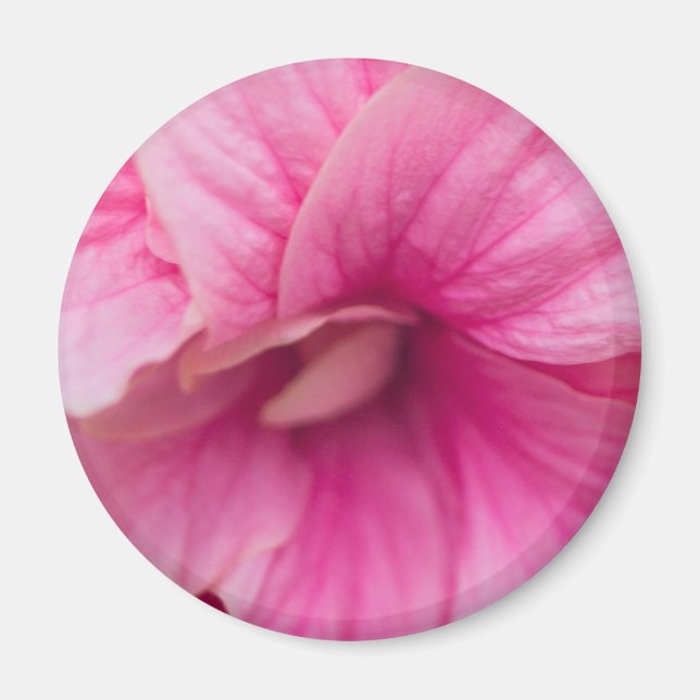 Imã Hibiscus rosa (Frente)