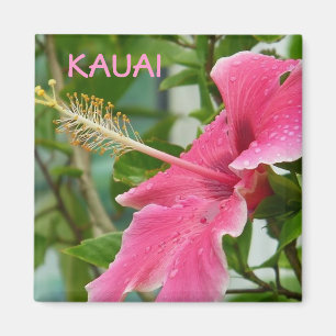Imã Hibiscus tropical havaiano das flores de Kauai