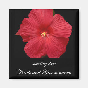 Imã Hibiscus vermelho