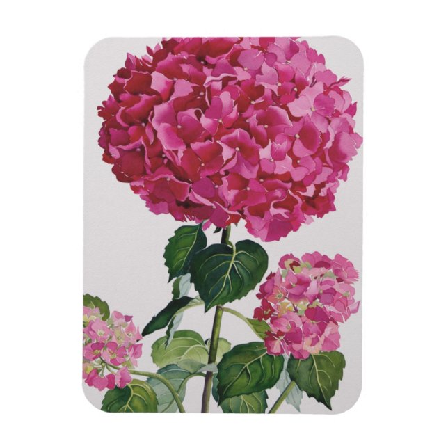 Ímã Hidrangea (Vertical)