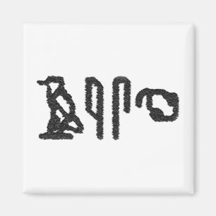 Imã Hieroglyphics do cérebro