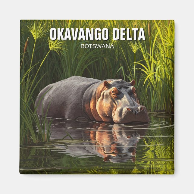 Imã Hippo no Okavango Delta Botswana (Frente)