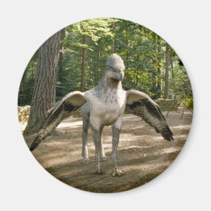 Imã Hippogriff