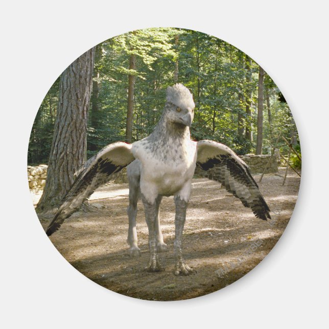 Imã Hippogriff (Frente)