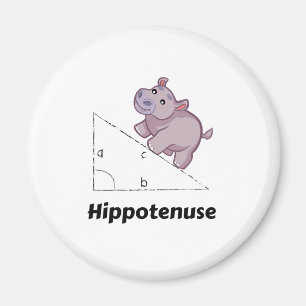 Imã Hippotenuse Engraçado Math