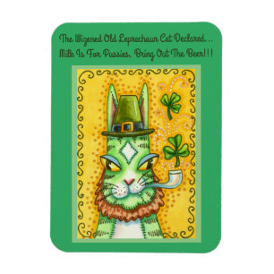 ÍMÃ HISS N' FITZ LEPRECHAUN, RUA. GATO ENGRAÇADO DO D