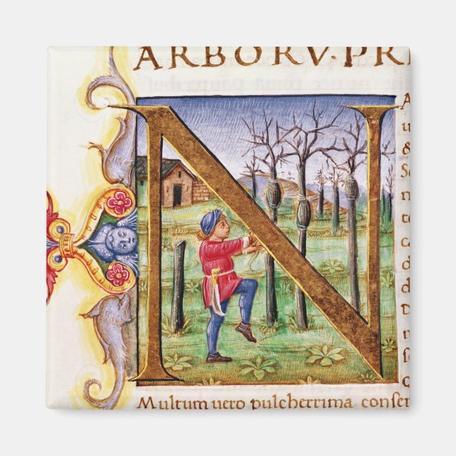 Imã Historiado 'N' Inicial (Frente)