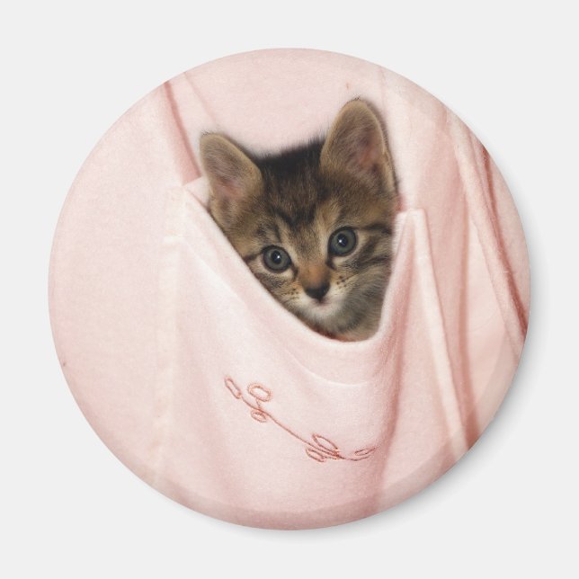 Imã Hitchhiking (Frente)