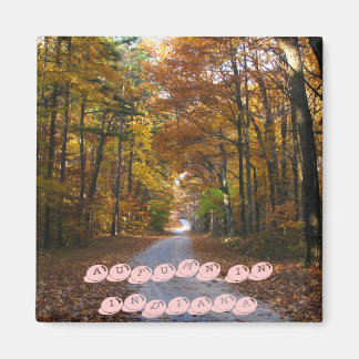 Imã HNF Autumn Lane, OUTONO NA ÍNDIA