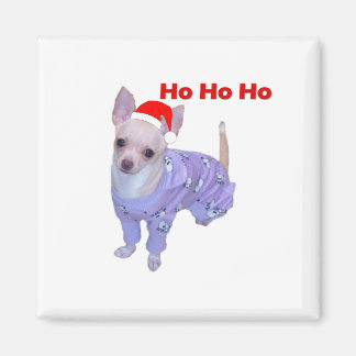 Imã Ho Ho (Chihuahua)