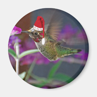 Imã Ho Ho Hummingbird