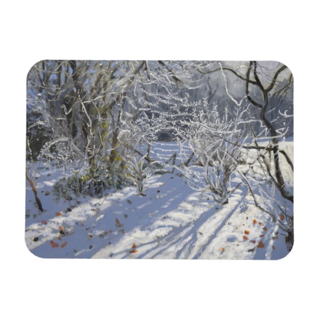 Ímã Hoar Frost Markeaton Derby.UK.2012 (Horizontal)