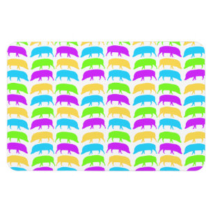 Ímã Hogs multicoloridos Amarelo Verde Púrpura Azul Pre