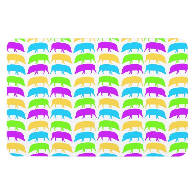 Ímã Hogs multicoloridos Amarelo Verde Púrpura Azul Pre (Horizontal)