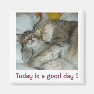 Imã Hoje é um bom dia! Gats Magnet