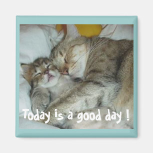 Imã Hoje é um bom dia! Ímã dos gatos