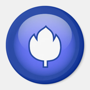 Imã Holandês Tulip