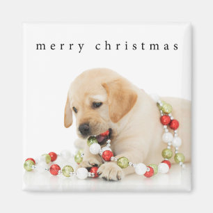 Imã Holiday Puppy Playtime Feliz Natal