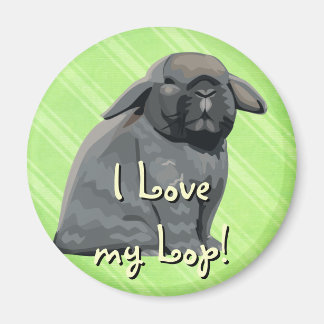 Imã Holland Lop Magnet