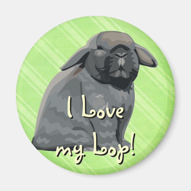 Imã Holland Lop Magnet (Frente)