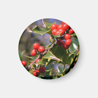 Imã Holly Berries Magnet