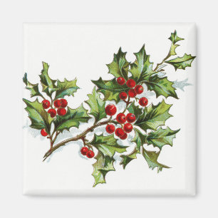 Imã HollyBerries20150801