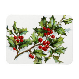 Ímã HollyBerries20150801