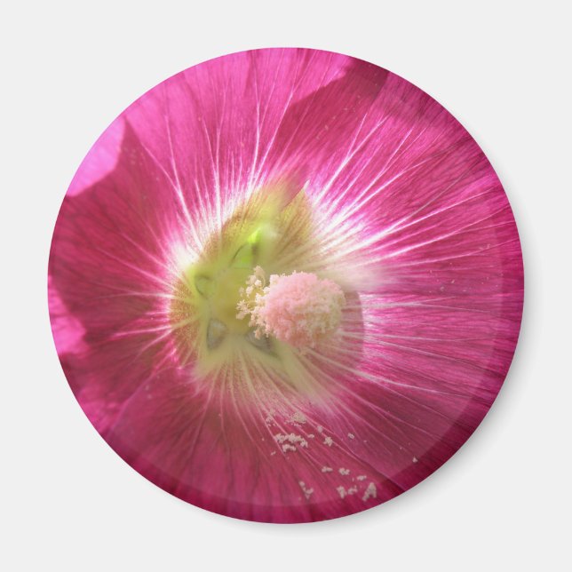 Imã Hollyhock Deep Pink Magnet (Frente)