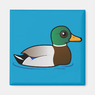 Imã Homem bonito do pato selvagem