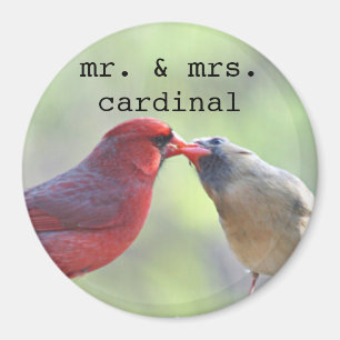 Imã Homem e foto cardinal fêmea