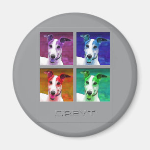 Imã Homenagem do galgo a